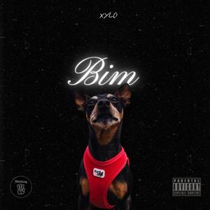 Bim (Explicit)