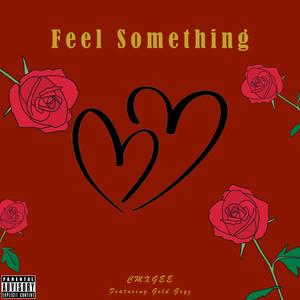 Feel Something (Explicit)