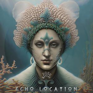 ECHO LOCATION