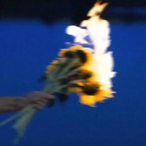 Crazy (feat. Iam3am) (Explicit)