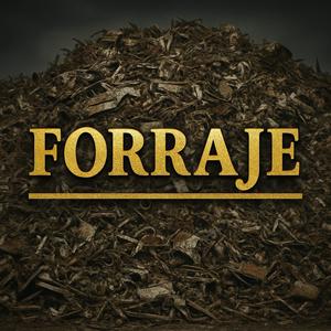 Forraje (feat. Dj Sehz)