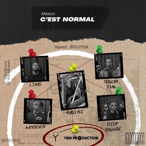 C'EST NORMAL (feat. SOULBY THB, LIMO, DIOP SOUARE & AK4SEVEN) [Explicit]