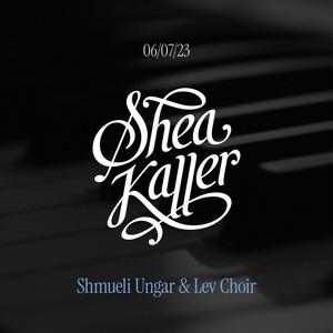Maskil L'Duvid (feat. Shmueli Ungar & Lev Choir)