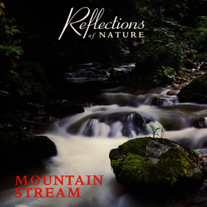 Mountain Stream