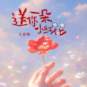 送你一朵小红花-王若熙