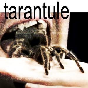 TARANTULE (Explicit)