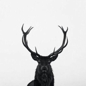 七彩阳光（F0re3t Mashup)