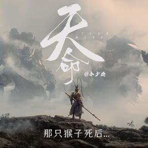 天命 (那只猴子死后)