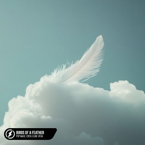 BIRDS OF A FEATHER (COVER版)