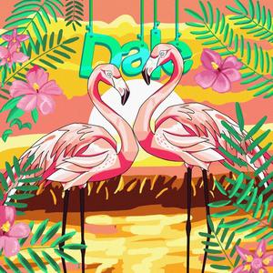 RABOKAMI - Dale Don Dale