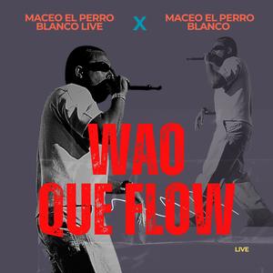 wao que flow (Live)