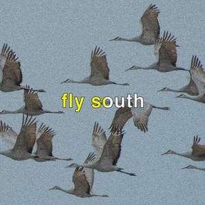 Fly South