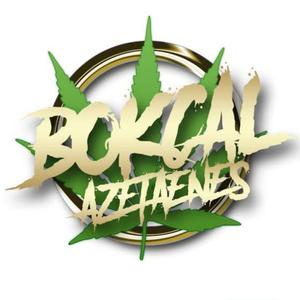 Mi musica (Explicit)