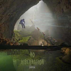 No Hibernation (Explicit)