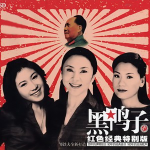 红太阳照边疆封面