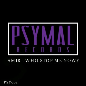 Who Stop Me Now? (Original Mix)