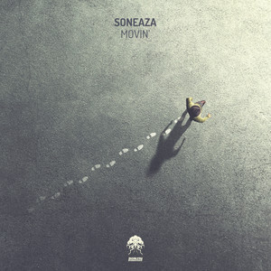 The Lonely Traveller