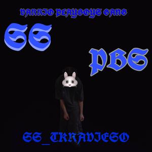 VARRIO SS PLAYBOYS GANG (feat. SS_TKRAVIESO) (Explicit)
