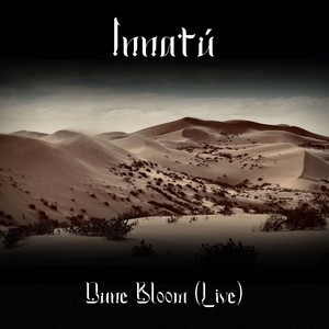 Dune Bloom - (Live)