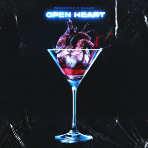 Open Heart