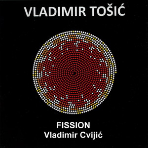 Vladimir Tošić: Fission