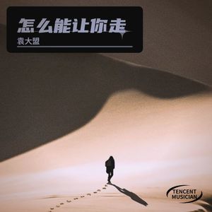 怎么能让你走 (dj闽仔版)