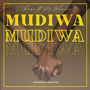 Mudiwa (feat. Dr blacks)