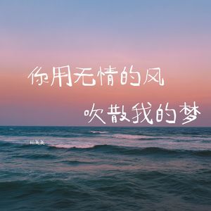 你用无情的风吹散我的梦