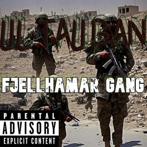 FJELLHAMAR GANG (FREESTYLE) (Explicit)