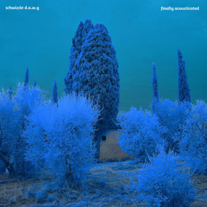 Schwizzle D.A.W.G. - Canada(with Shapeless Noob) (Acoustic)