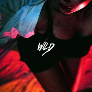 WILD (feat. Avi Roy) (Explicit)