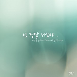 넌 정말 바보야 (你真是傻瓜)