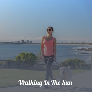 Walking in the Sun