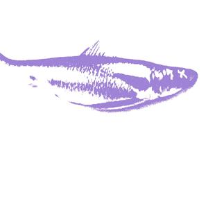 non ne avrò mai abbastanza