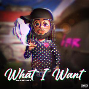 What I Want (Explicit)