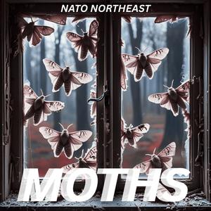 MOTHS (Explicit)