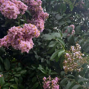 I stole ts lmao (Explicit)