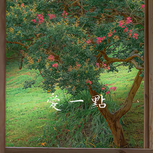 爱一点（夜闭上双眼不说话）