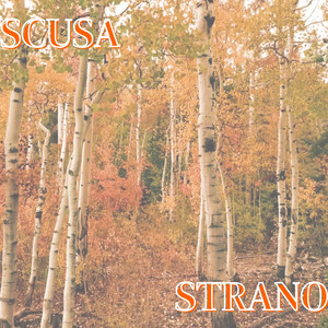 Scusa