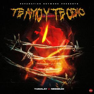 Te Amo Y Te Odio(feat. Nesselim)