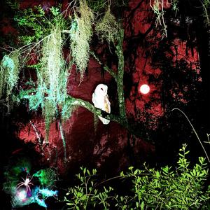 a ballad for someone i no longer know (Explicit)