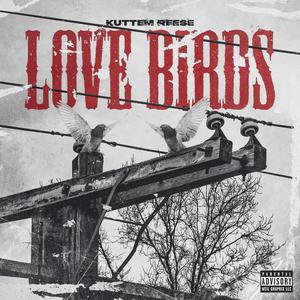 Love Birds (Explicit)