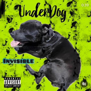 Underdog (feat. Nimuz) [Explicit]