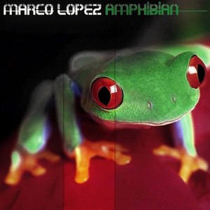 Amphibian