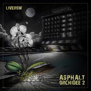 Asphalt Orchidee 2 (Explicit)