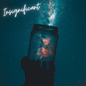 Insignificant (feat. Teeena) [Explicit]