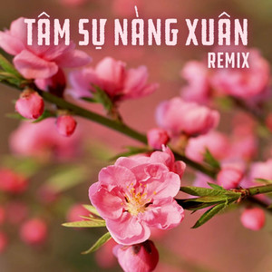 Xuân Đã Về (Remix)