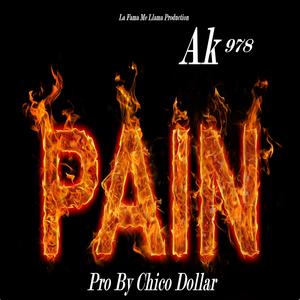 Pain (feat. Ak 978) (Explicit)