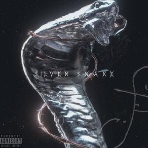 SILVER SNAKE