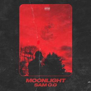 Moonlight (Explicit)
